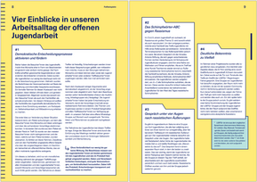 Demokratieflugbegleitung.png (76 KB)